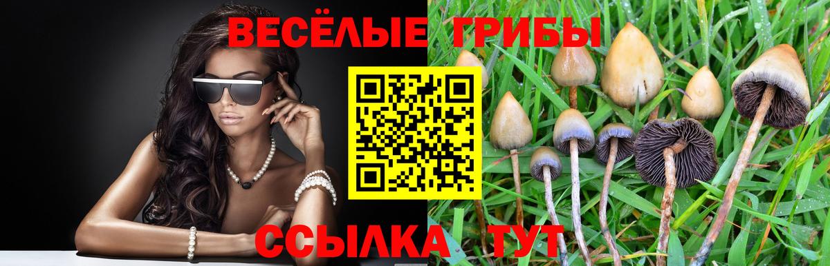 Галлюциногенные грибы Magic Shrooms  Псилоцибиновые грибы MAGIC MUSHROOMS  Вход с VPN  Тамбов 
